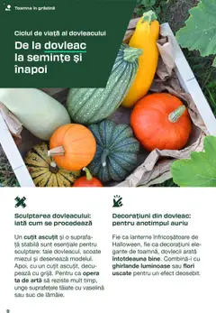 Noul catalog Lidl – valabil de la 30.08.2025 | Pagină: 8
