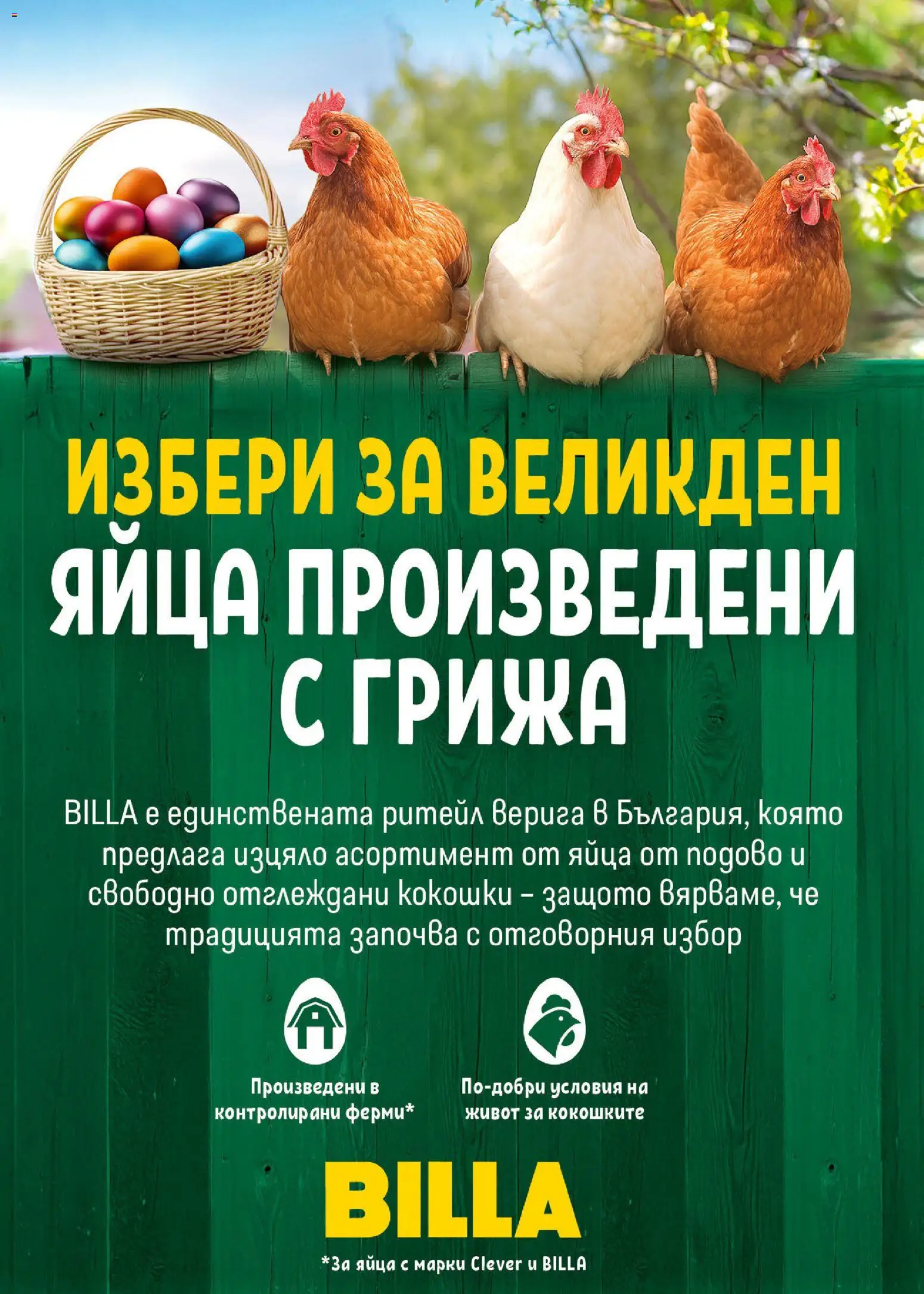 {H1} | Страница: 24 | Продукти: Яйца