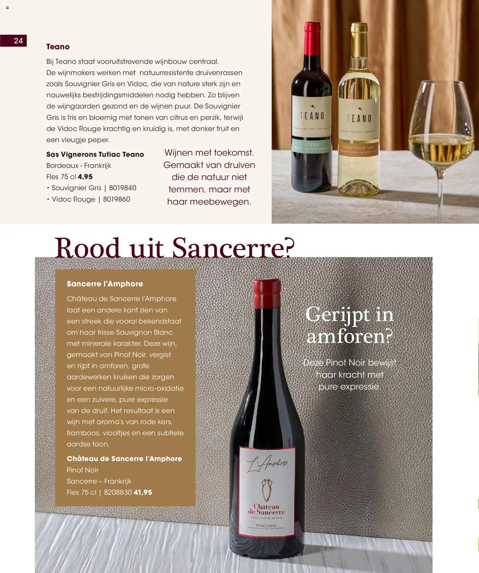 {H1} | Pagina: 24 | Producten: Wijn, Fles, Fruit, Druiven