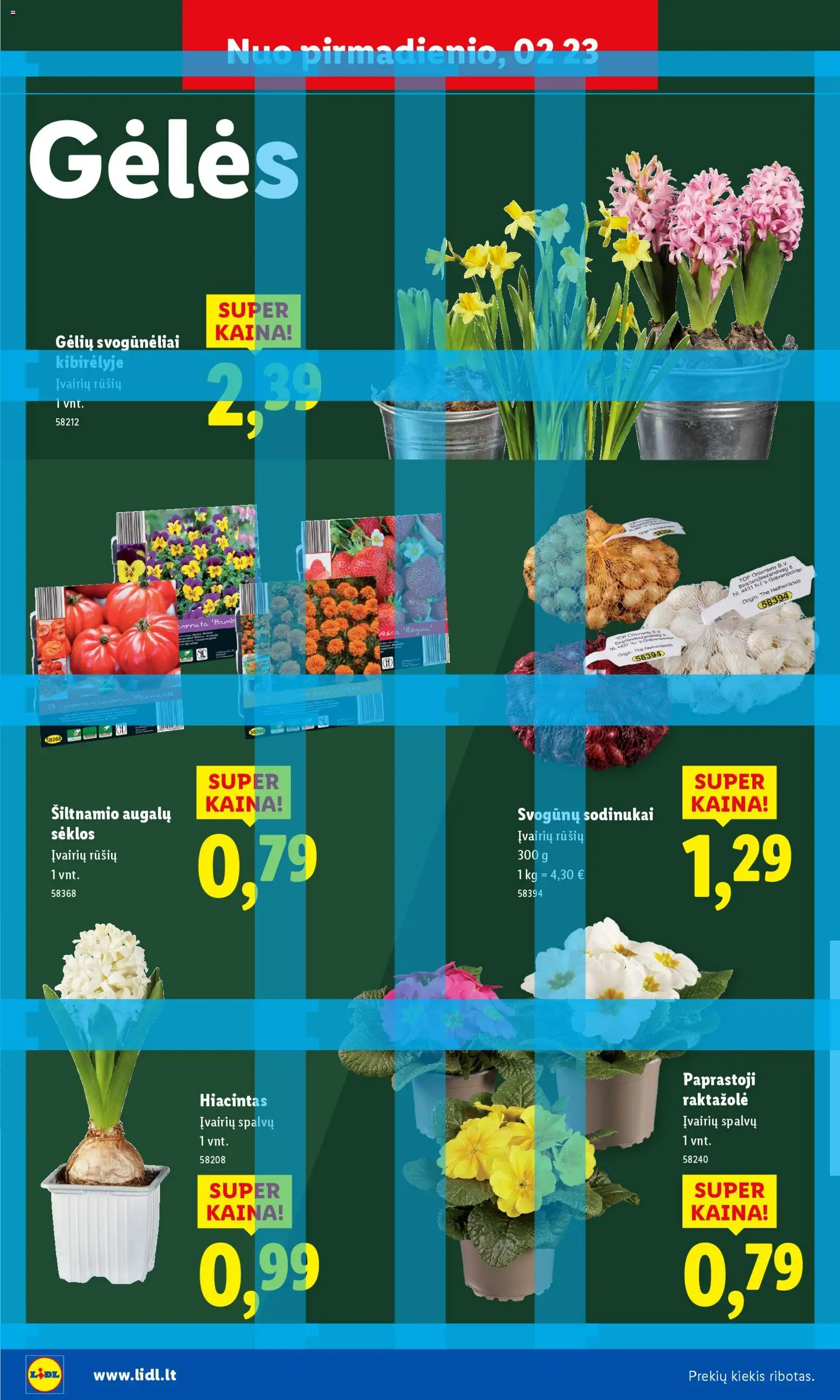 LIDL akcijos nuo 16.02.2026 | Puslapis: 16 | Prekių: Sėklos