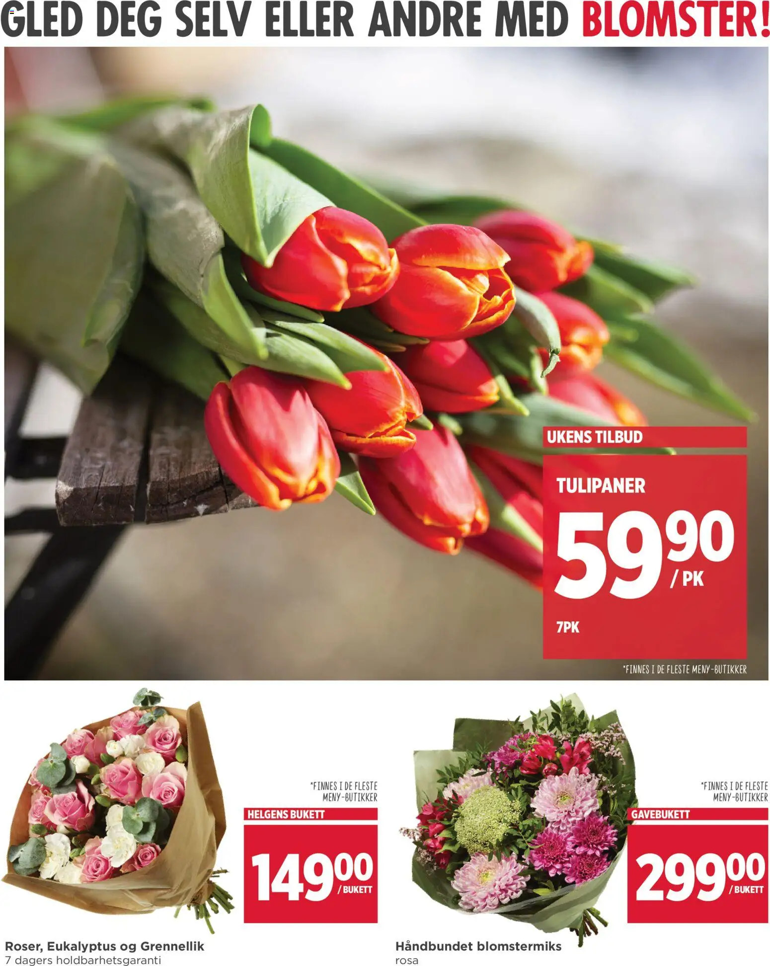 {H1} | Side: 10 | Produkter: Fyldt pasta, Cremă pentru față