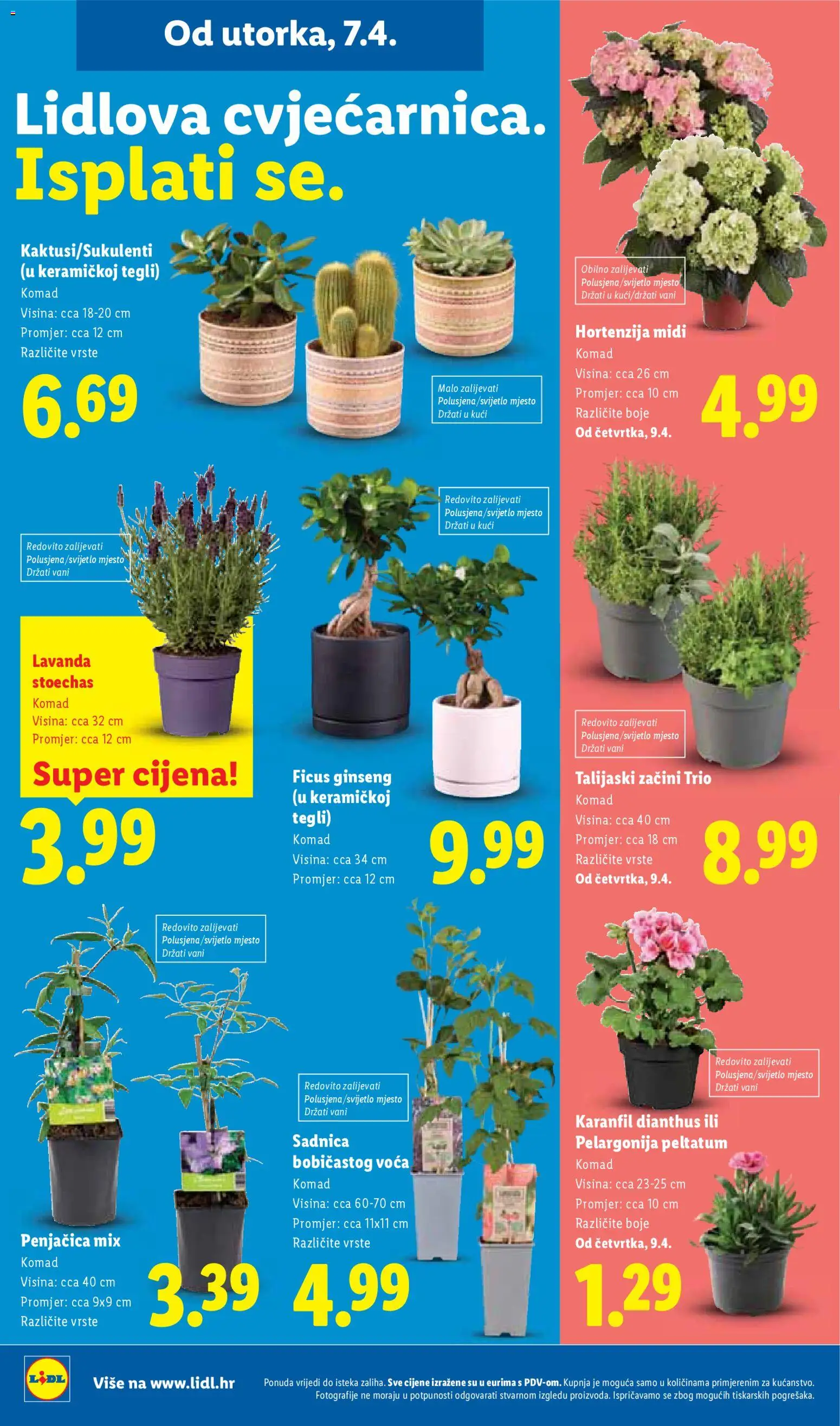 Lidl katalog | vrijedi od 07.04.2026 | Stranica: 50 | Proizvodi: Začini