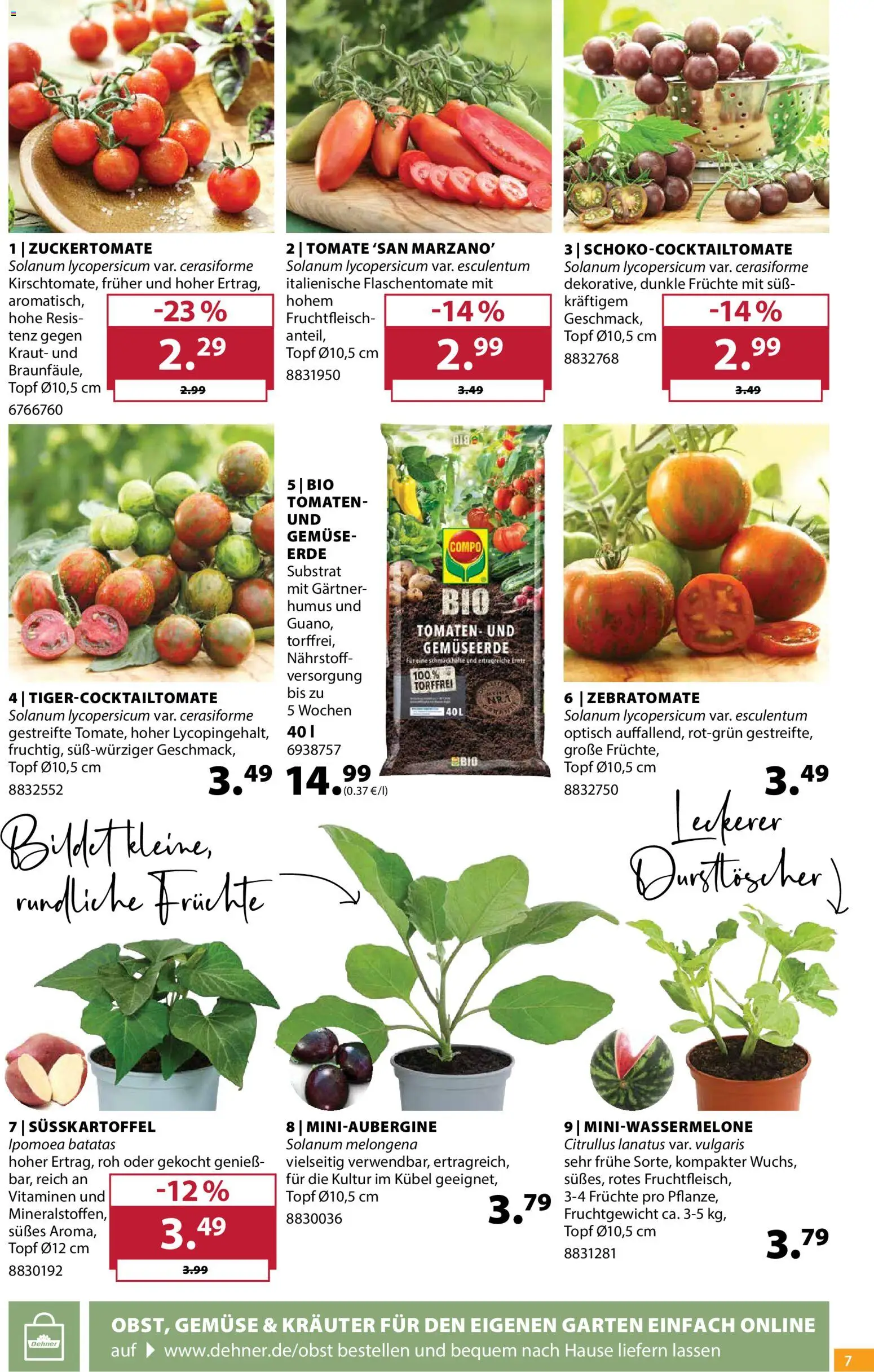 Dehner Prospekt 	 – gültig ab 22.04.2026 | Seite: 7 | Produkte: Durstloscher, Tomaten, Gemüse, Kraut