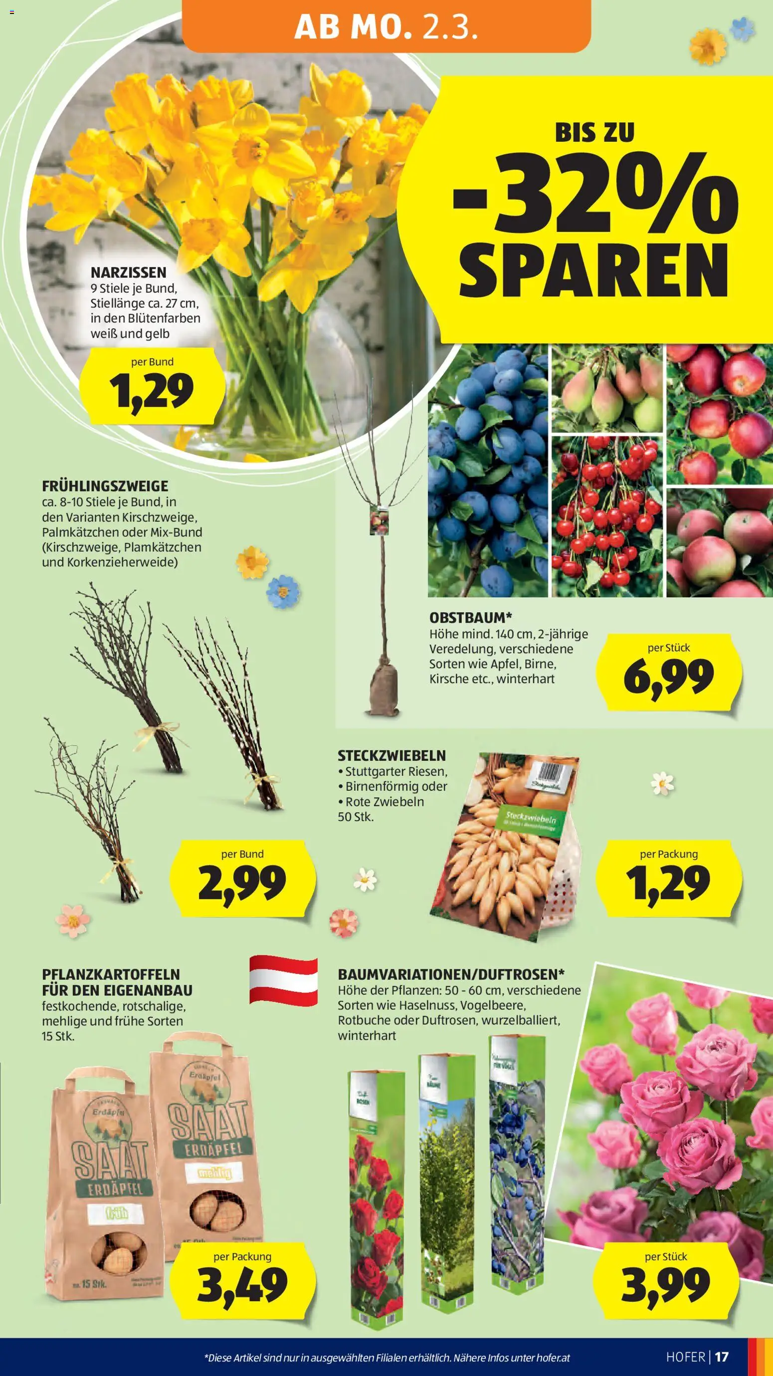 Hofer Flugblatt gültig ab 25.02.2026 | Seite: 21 | Produkte: Zwiebeln