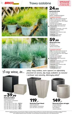 Pogląd oferty "Brico Marché gazetka - Wiosna" - ważna od 04.03.2026 | Strona: 77 | Produkty: Trawy, Doniczka, Doniczki