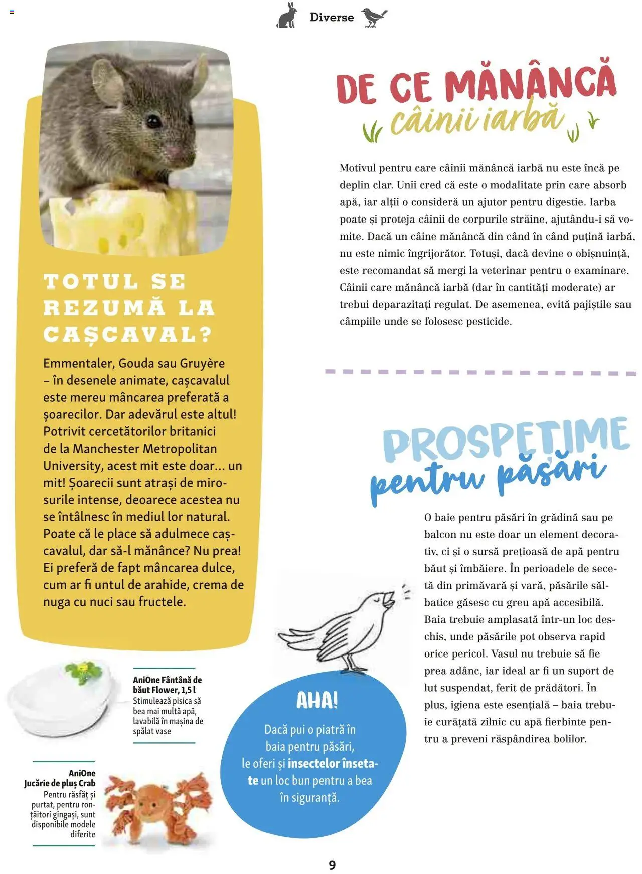 Catalog Fressnapf - Vară – valabil de la 05.05.2025 | Pagină: 9 | Produse: Șal, Mașină De Spălat, Cașcaval, Cremă