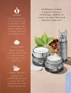 Justine specials catalogue – valid from 01.02.2026 | Page: 17 | Products: Serum, Cream, Night cream, Day cream