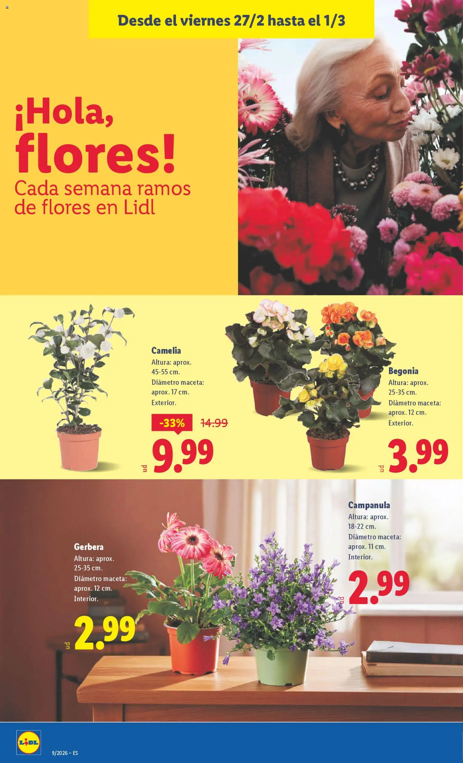 Lidl folleto │ válido desde el 23.02.2026 | Página: 36 | Productos: Maceta