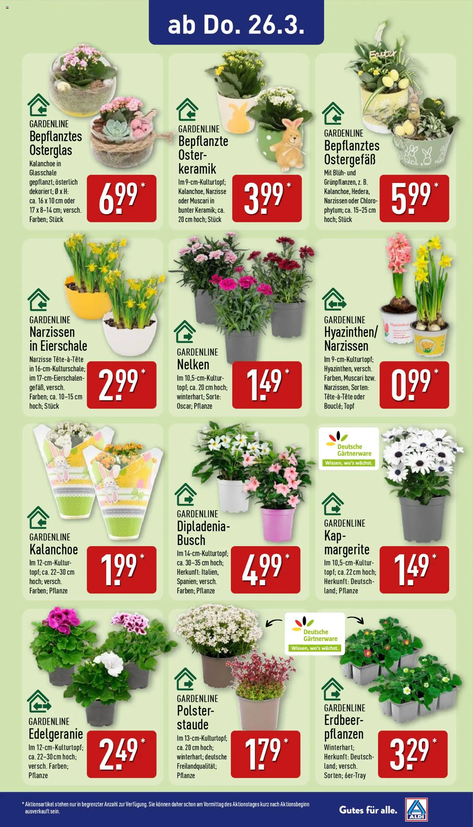 Aldi Ausblick – gültig ab 23.03.2026 | Seite: 12