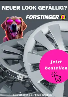 Vorschau von dem Prospekt - Forstinger Flugblatt gültig ab 15.08.2025