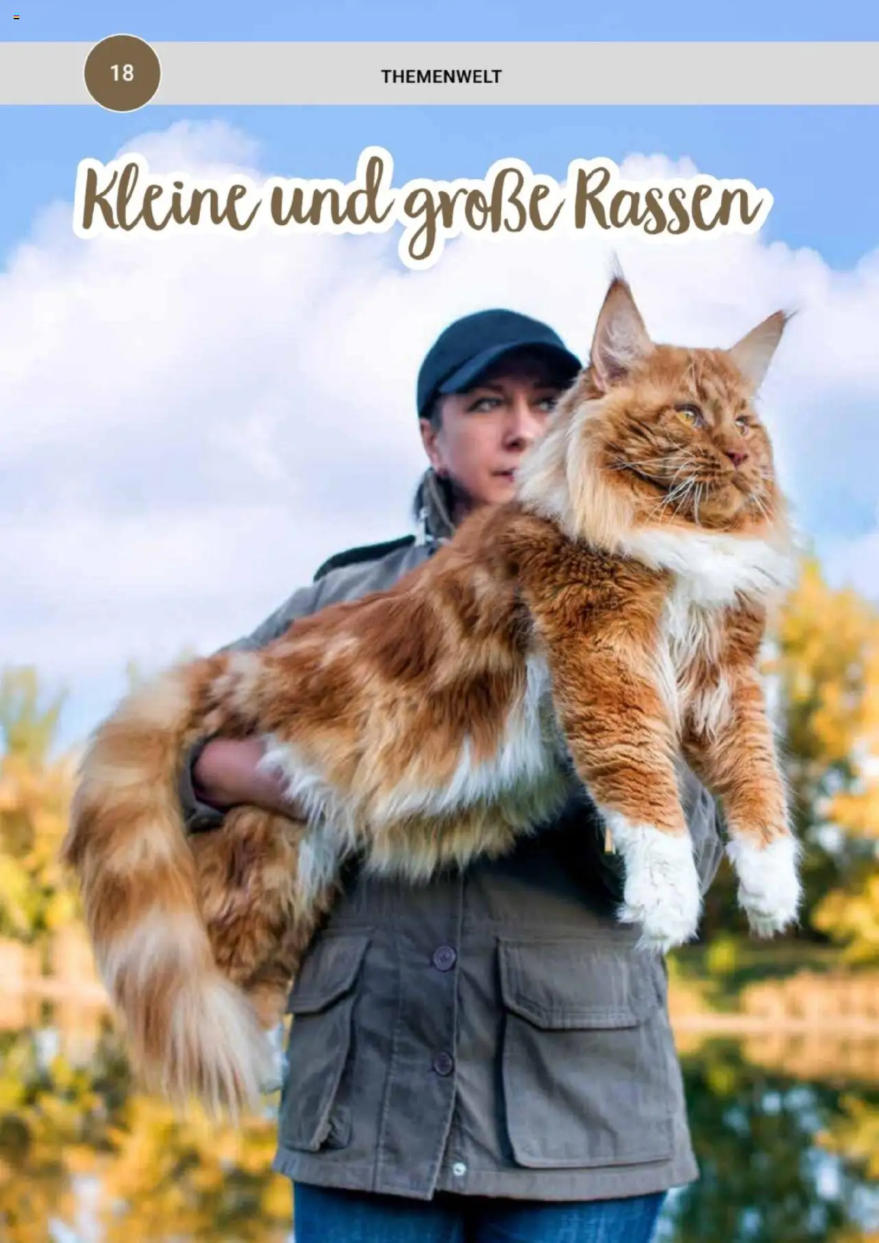 zookauf Themenkatalog Katze – gültig ab 01.10.2025 | Seite: 18