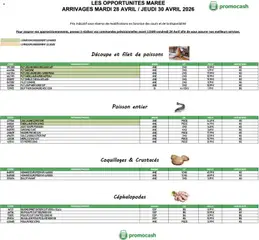Promocash - Prévisualisation de Promocash Opportunités Marée valide à partir de 28.04.2026
