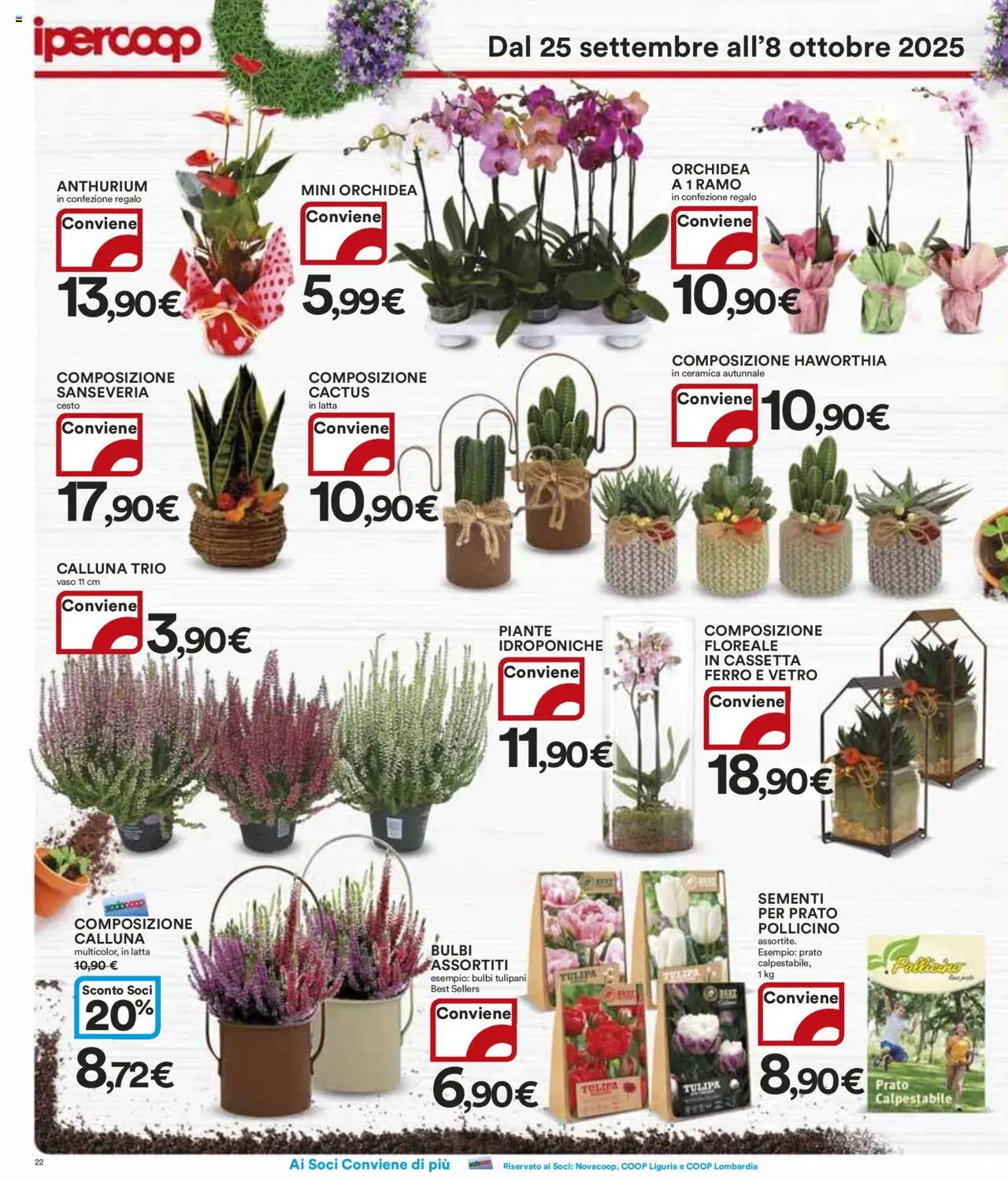 Volantino Ipercoop del 25.09.2025 | Pagina: 22 | Prodotti: Cactus, Orchidea, Vaso