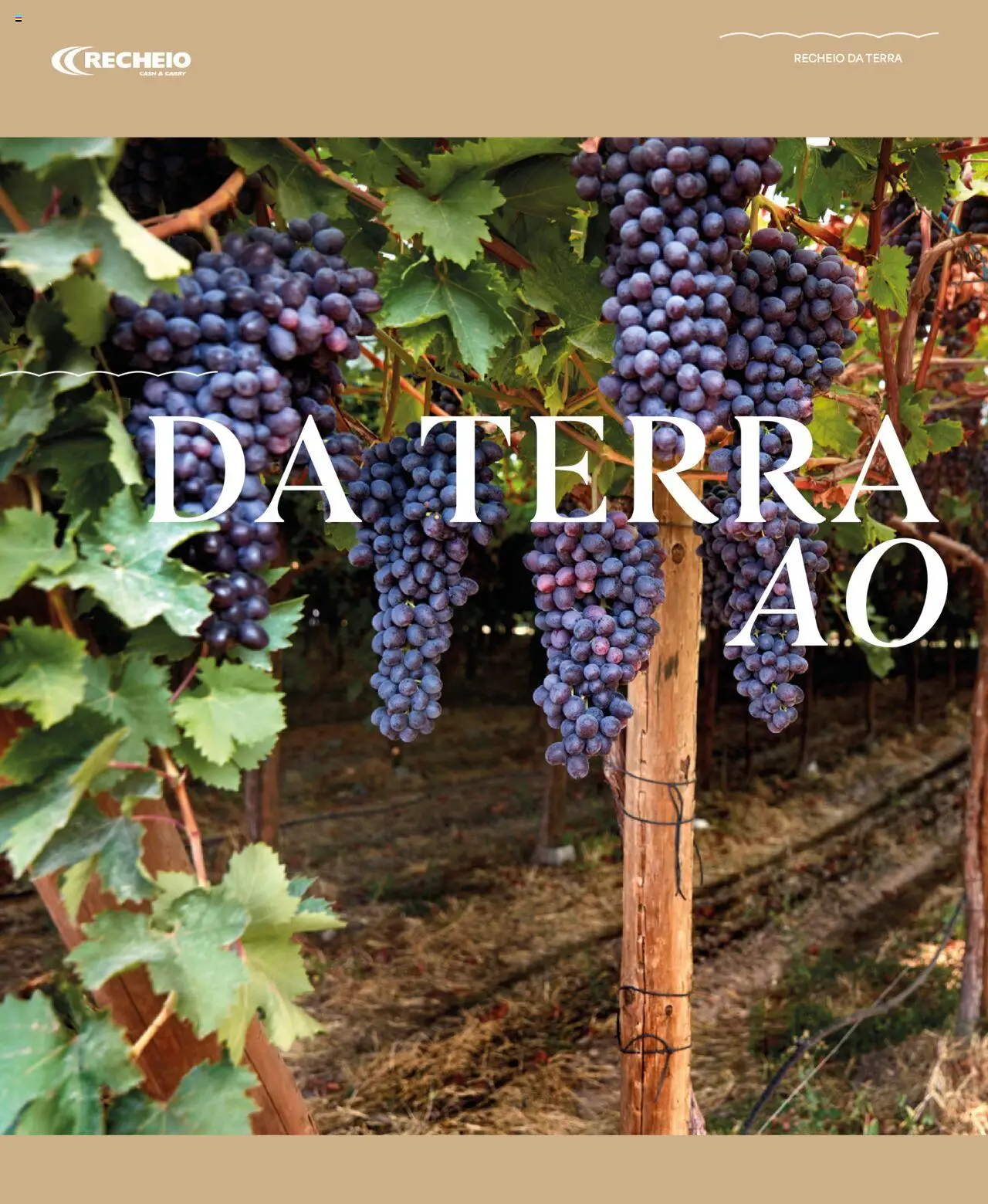 Recheio - Recheio da Terra │ válido de 25.09.2025 | Página: 6