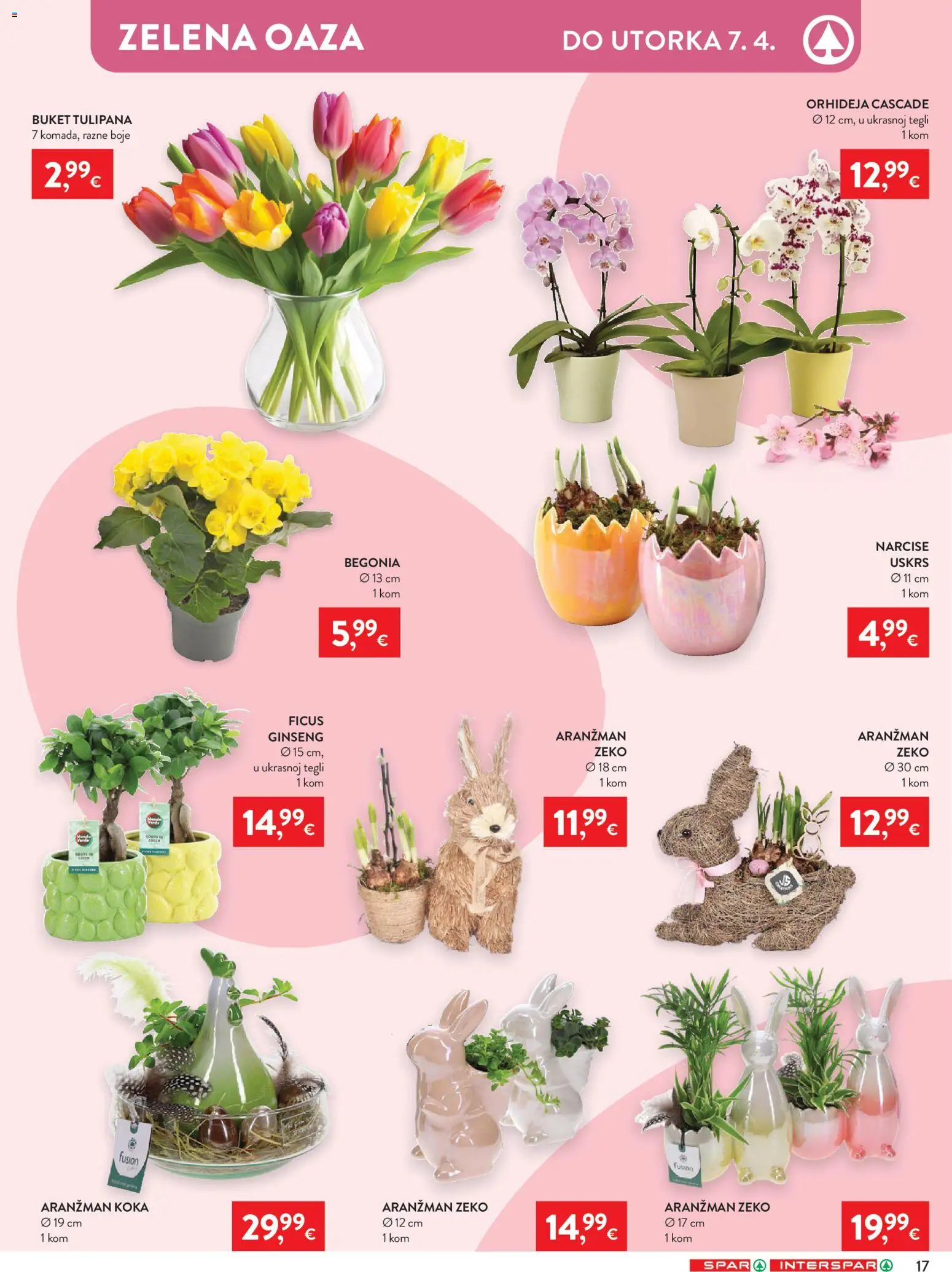Spar katalog | vrijedi od 25.03.2026 | Stranica: 23 | Proizvodi: Orhideja