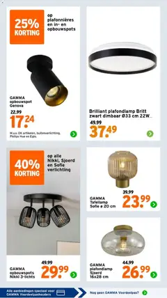 GAMMA folder - Voorbeeld van een folder van GAMMA, geldig van 13.04.2026 | Pagina: 42