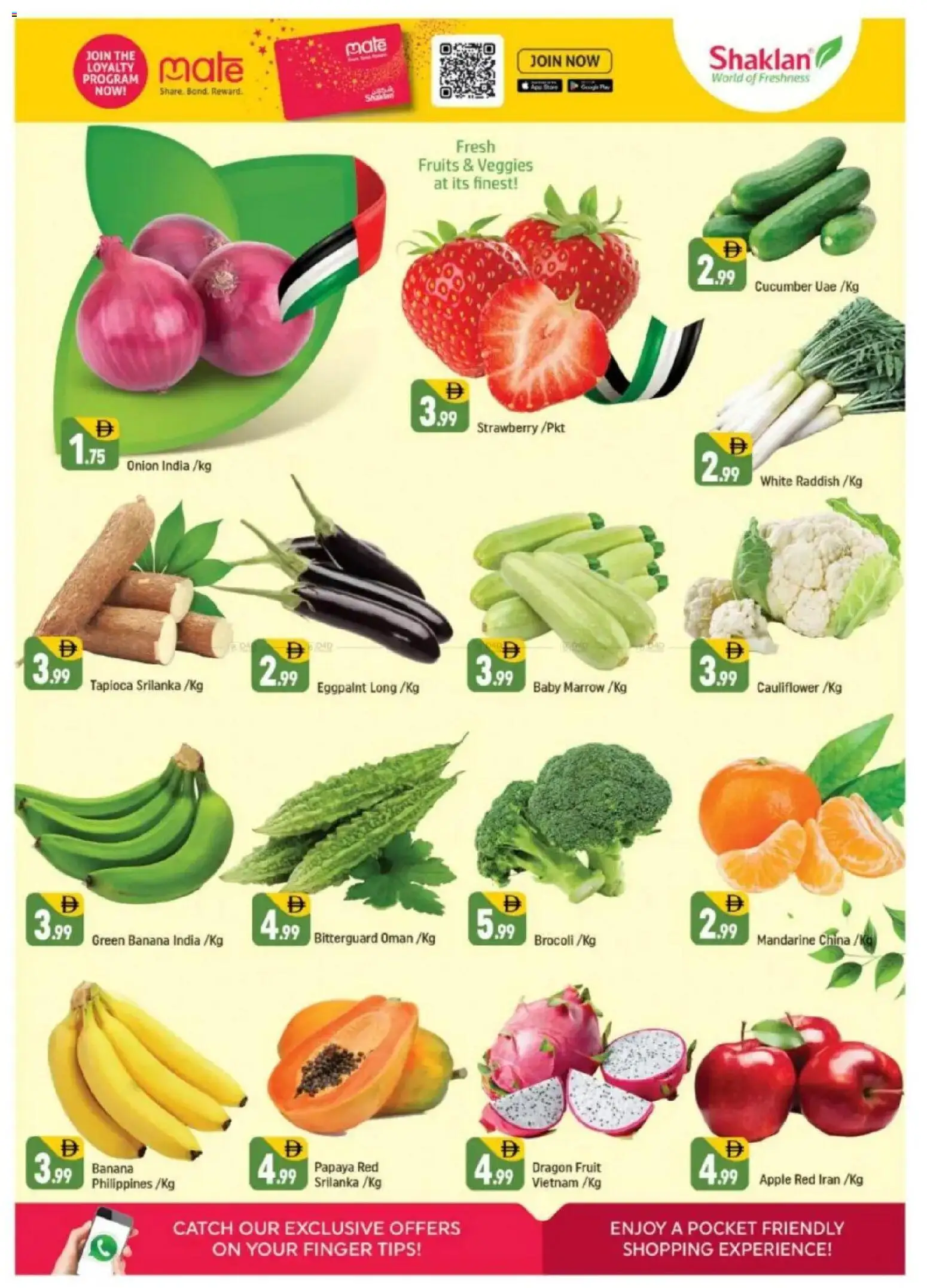 {H1} | Page: 2 | Products: Pizza, Myčka