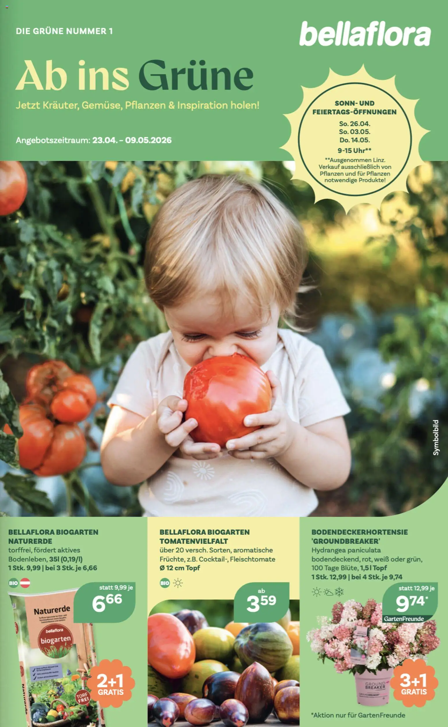bellaflora Flugblatt gültig ab 23.04.2026 | Seite: 1 | Produkte: Uhr