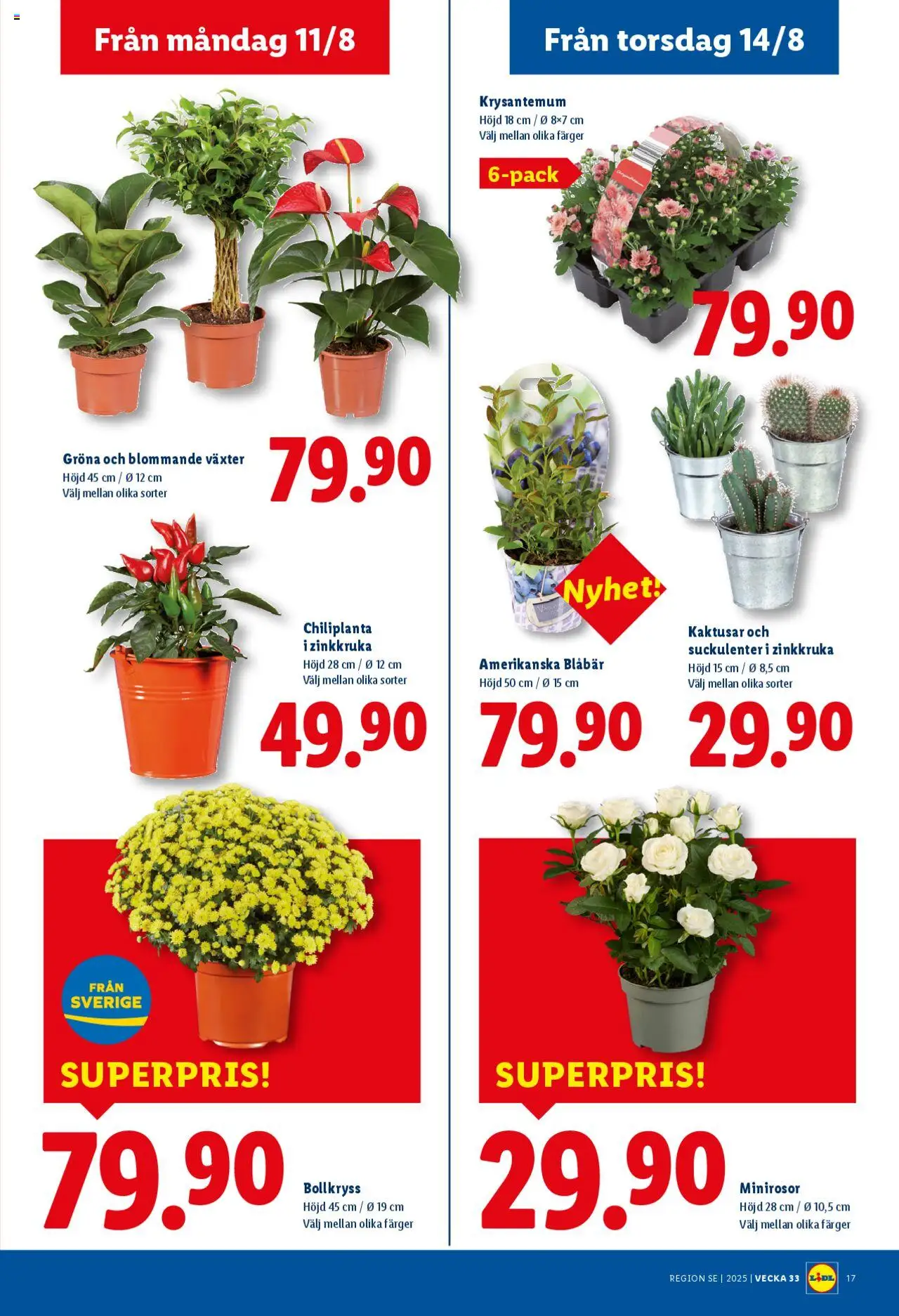 Lidl reklamblad aktuell från 11.08.2025 | Sida: 21 | Produkter: Blåbär