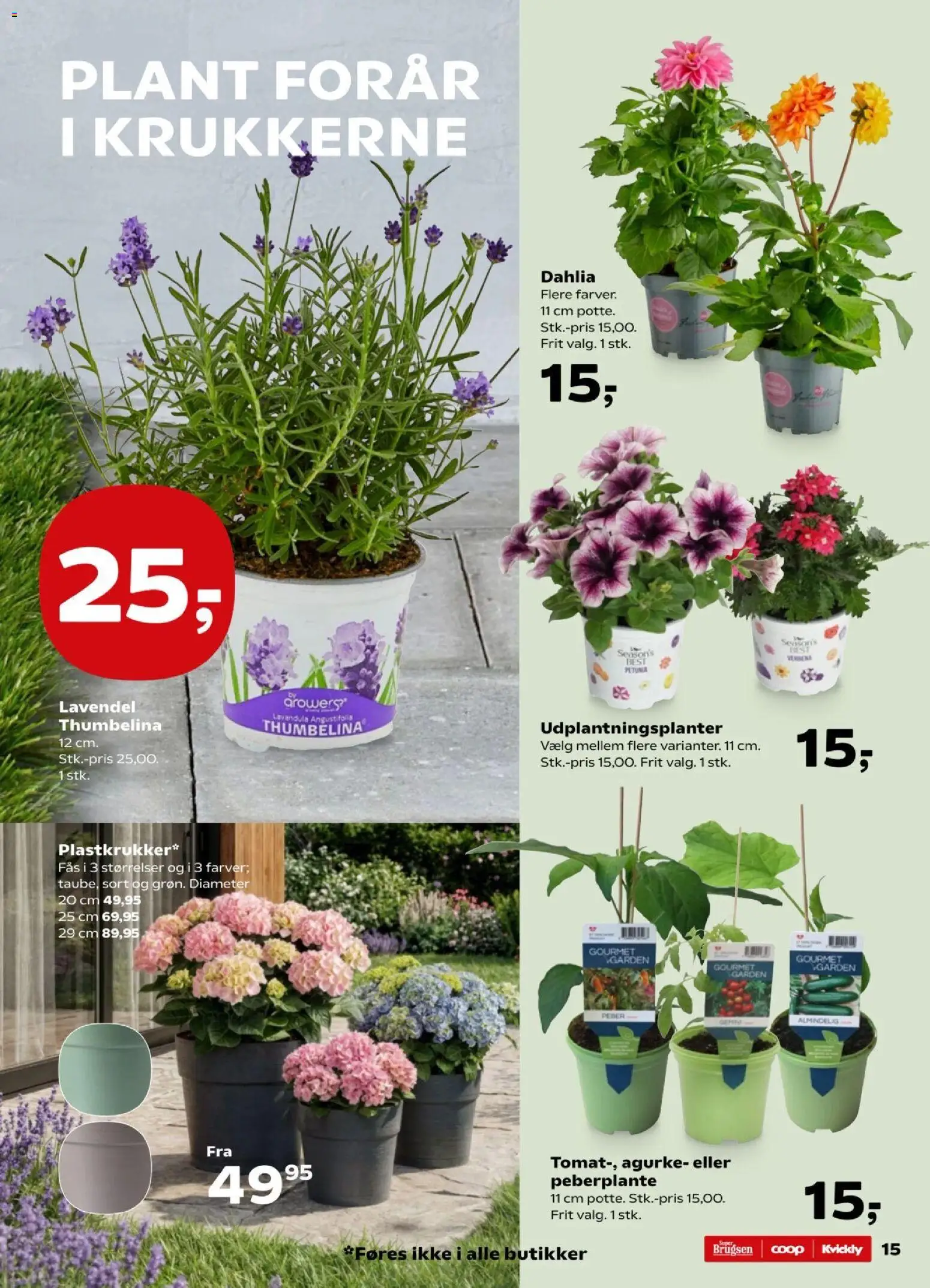 Kvickly tilbudsavis – gyldig fra 24.04.2026 | Side: 15