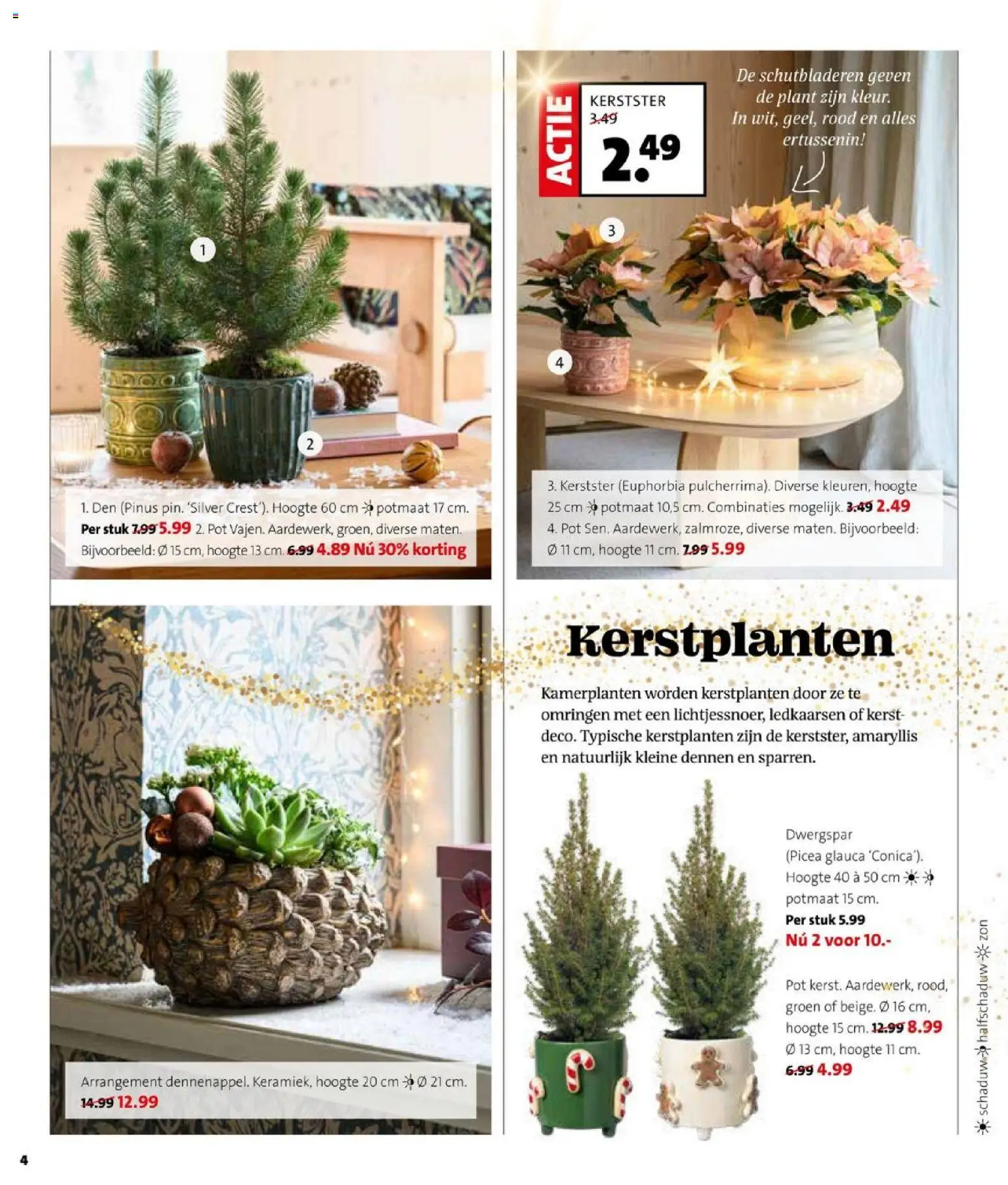 {H1} | Pagina: 4 | Producten: Pot, Kamerplanten