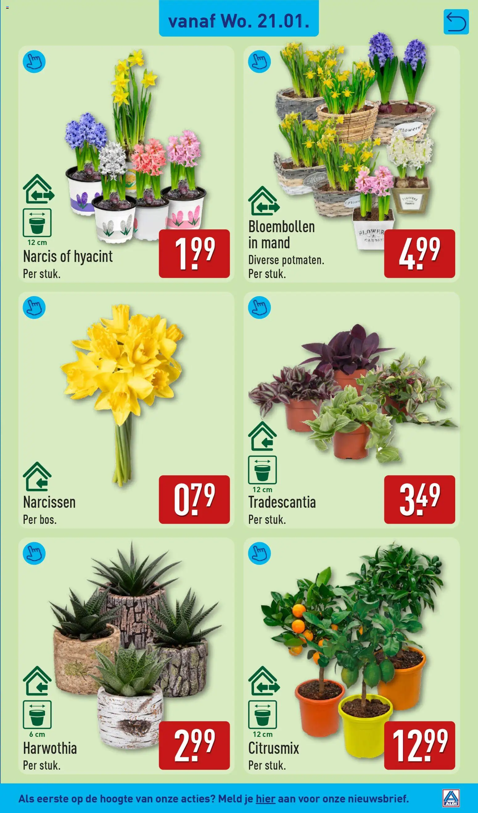 {H1} | Pagina: 27 | Producten: Mand