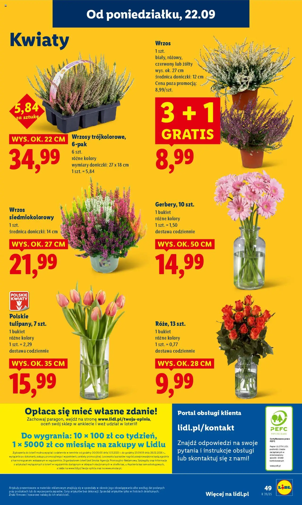 Lidl Gazetka od 22.09.2025 | Strona: 64 | Produkty: Wrzos, Doniczki, Kwiaty