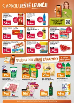 Náhled letáku Trefa leták - Nabídka pro věrné zákazníky od 28.01.2026